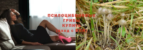 гидра Михайловка