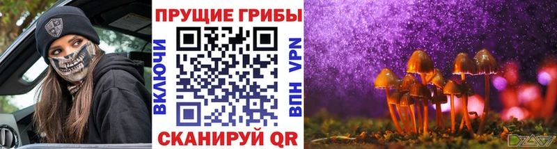 сколько стоит  Армавир  kraken ссылки  Галлюциногенные грибы Magic Shrooms 